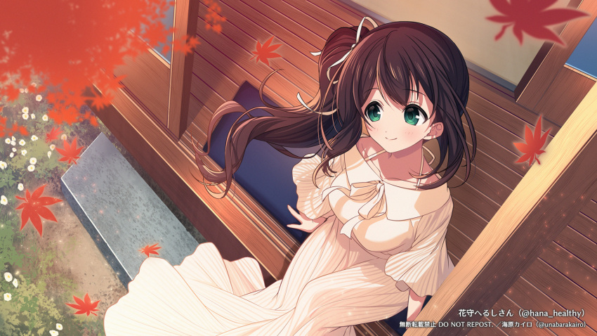 1girl, autumn, autumn_leaves, brown_hair, collarbone, dress, green_eyes, hanamori_healthy