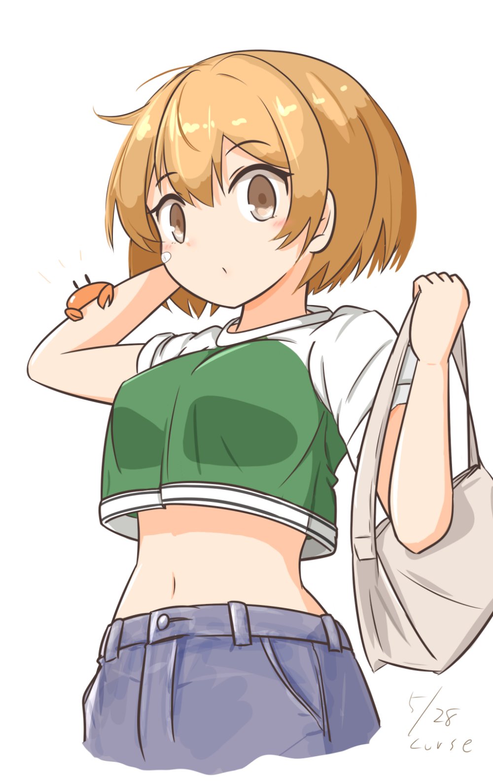 1girl, ahoge, animal_on_arm, bag, bandaid, bandaid_on_face, blue_skirt, brown_eyes