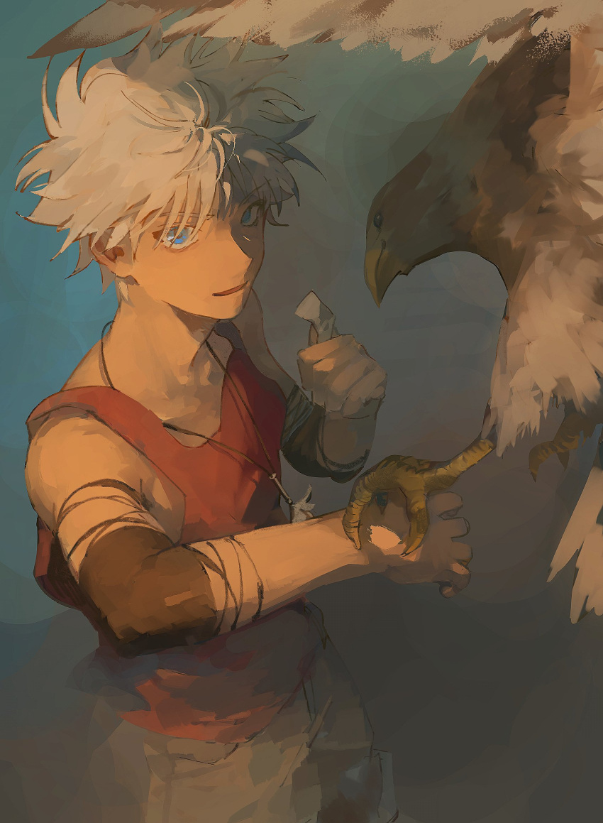 1boy, bird, blue_eyes, collarbone, from_above, hair_between_eyes, hawk, highres