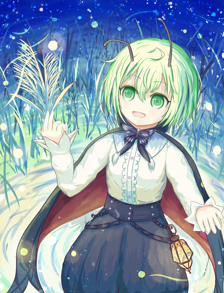 1girl, absurdres, androgynous, black_bow, black_bowtie, black_butterfly, black_cape, black_shorts