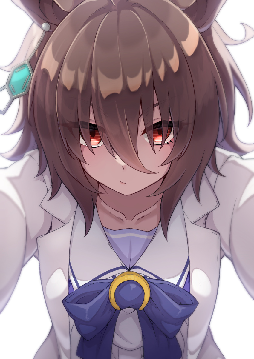 1girl, absurdres, agnes_tachyon_(umamusume), animal_ears, blush, bow, closed_mouth, collarbone