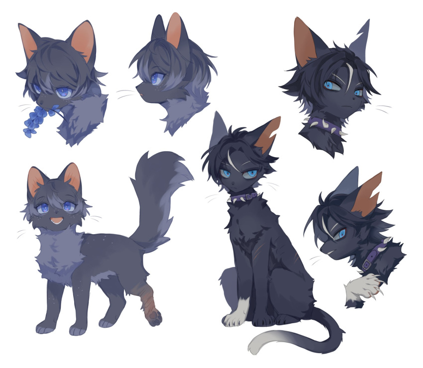 animal, black_cat, black_fur, blue_eyes, cat, cinderpelt, collar, fangs, grey_cat, highres, injury, neku_boo, no_humans, open_mouth, purple_collar, scourge_(warrior_cats), spiked_collar, spikes, warrior_cats, white_background
