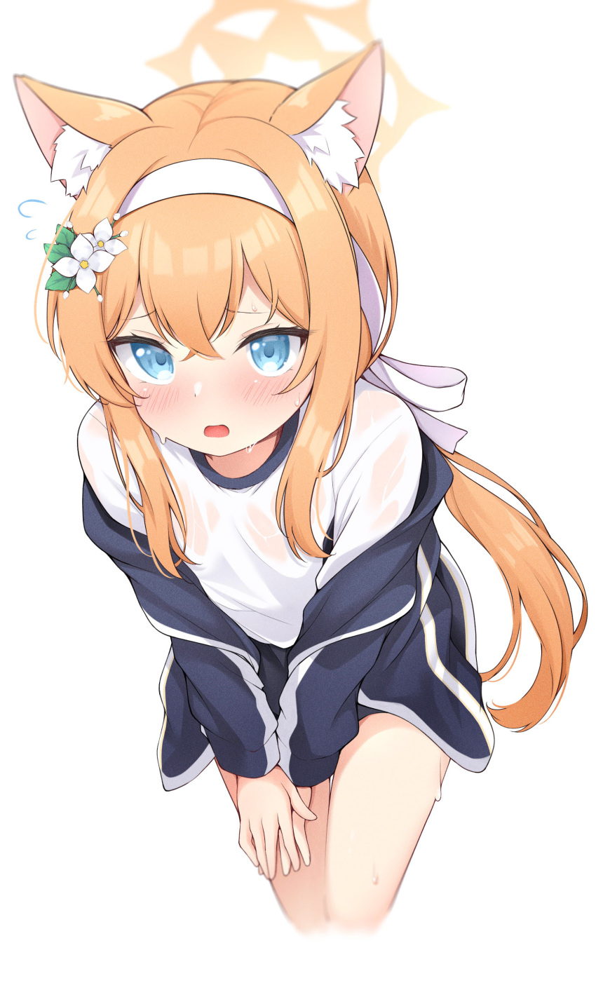 1girl, absurdres, animal_ear_fluff, animal_ears, blue_archive, blue_eyes, blush, cropped_legs