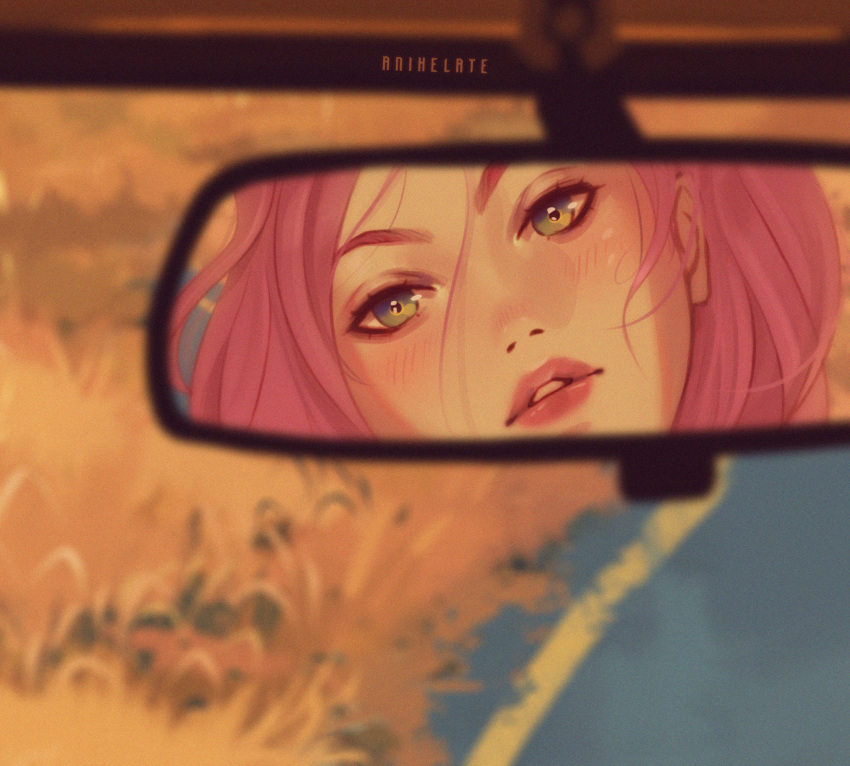 1girl, anihelate, artist_name, blurry, commentary, depth_of_field, english_commentary, grass