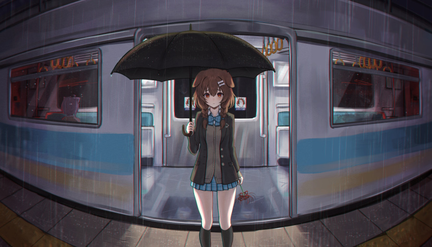 2girls, animal_ears, ao_ne, aogami_high_school_uniform, black_jacket, black_socks, blazer, blue_bow