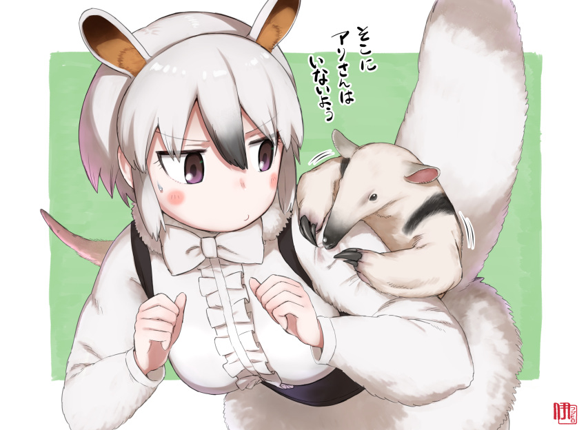 1girl, animal, animal_ears, animal_on_shoulder, anteater, artist_logo, black_hair, blush_stickers, border, bow, bowtie, center_frills, closed_mouth, creature_and_personification, dress, extra_ears, frills, fur_collar, fur_trim, grey_hair, hair_between_eyes, highres, ito_yoki, kemono_friends, kemono_friends_3, leaning_forward, long_sleeves, looking_at_another, medium_hair, multicolored_hair, outside_border, parted_bangs, southern_tamandua, southern_tamandua_(kemono_friends), tail, tamandua_ears, tamandua_tail, translation_request, two-tone_hair, v-shaped_eyebrows, violet_eyes, white_border, white_bow, white_bowtie