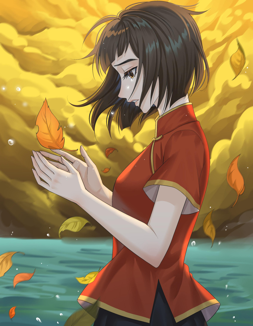 1girl, absurdres, black_eyes, black_hair, black_skirt, blunt_bangs, bob_cut, chinese_clothes