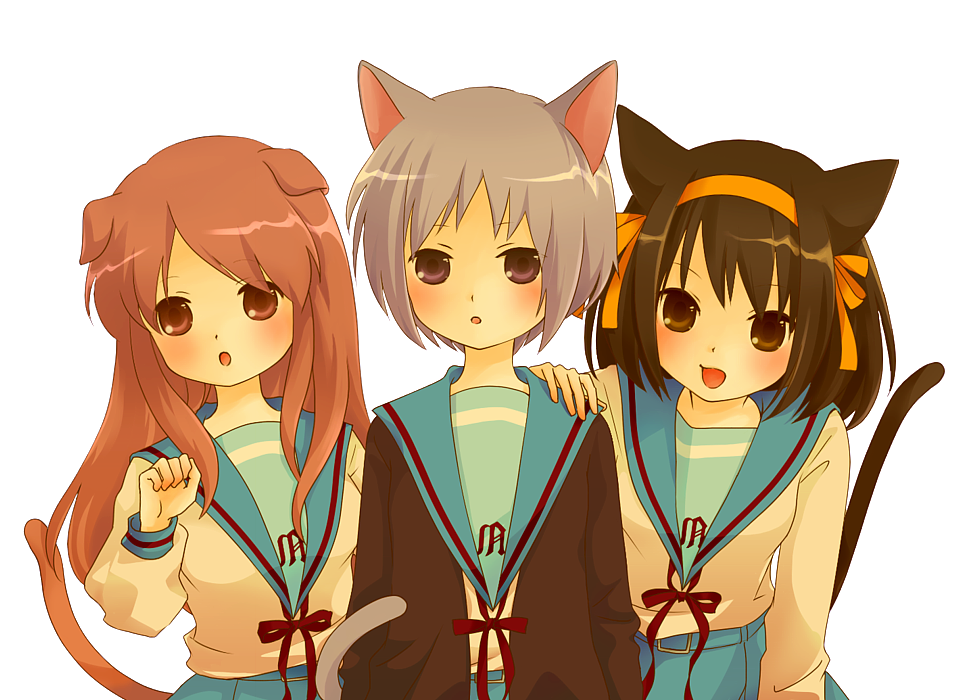 asahina_mikuru, brown_eyes, brown_hair, cat_ears, dog_ears, grey_hair, hair_ribbon, hairband