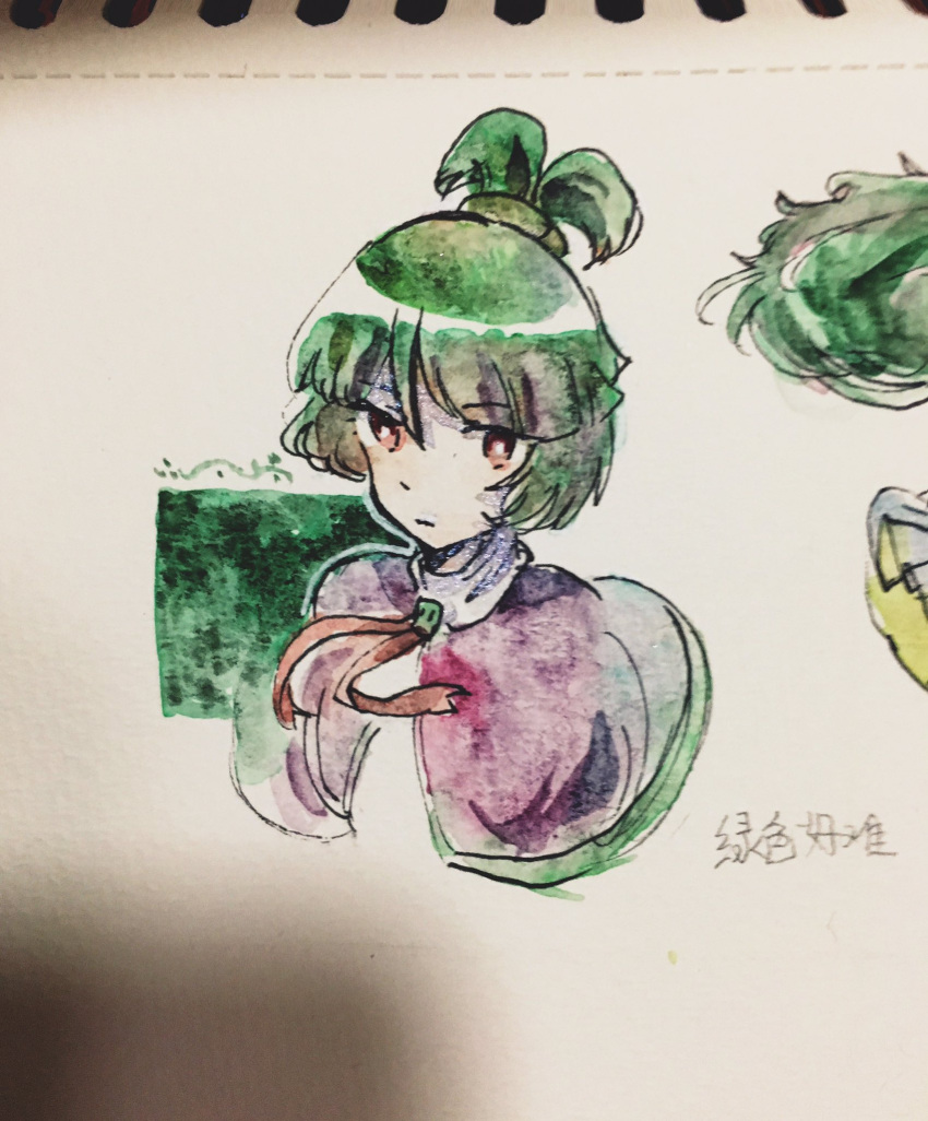 1other, 21scorpii, adagumo_no_saragimaru, blunt_bangs, capelet, chinese_text, closed_mouth, collar, collared_capelet, green_hair, green_square, green_trim, hair_ornament, highres, len'en, light_frown, marker_(medium), purple_capelet, red_eyes, shadow, short_hair, short_ponytail, snake_hair_ornament, traditional_media, upper_body, white_collar