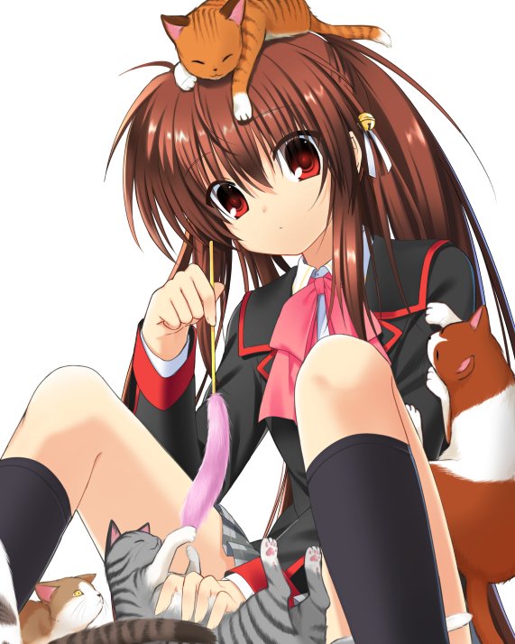 1girl, animal_on_head, between_legs, black_jacket, black_socks, brown_hair, cat, cat_between_legs