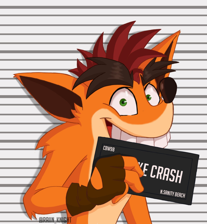 1boy, artist_name, barbie_mugshot_(meme), character_name, crash_bandicoot_(series), english_text, fake_crash, highres, looking_at_viewer, meme, mugshot, portrait, raiin_knight, solo, watermark