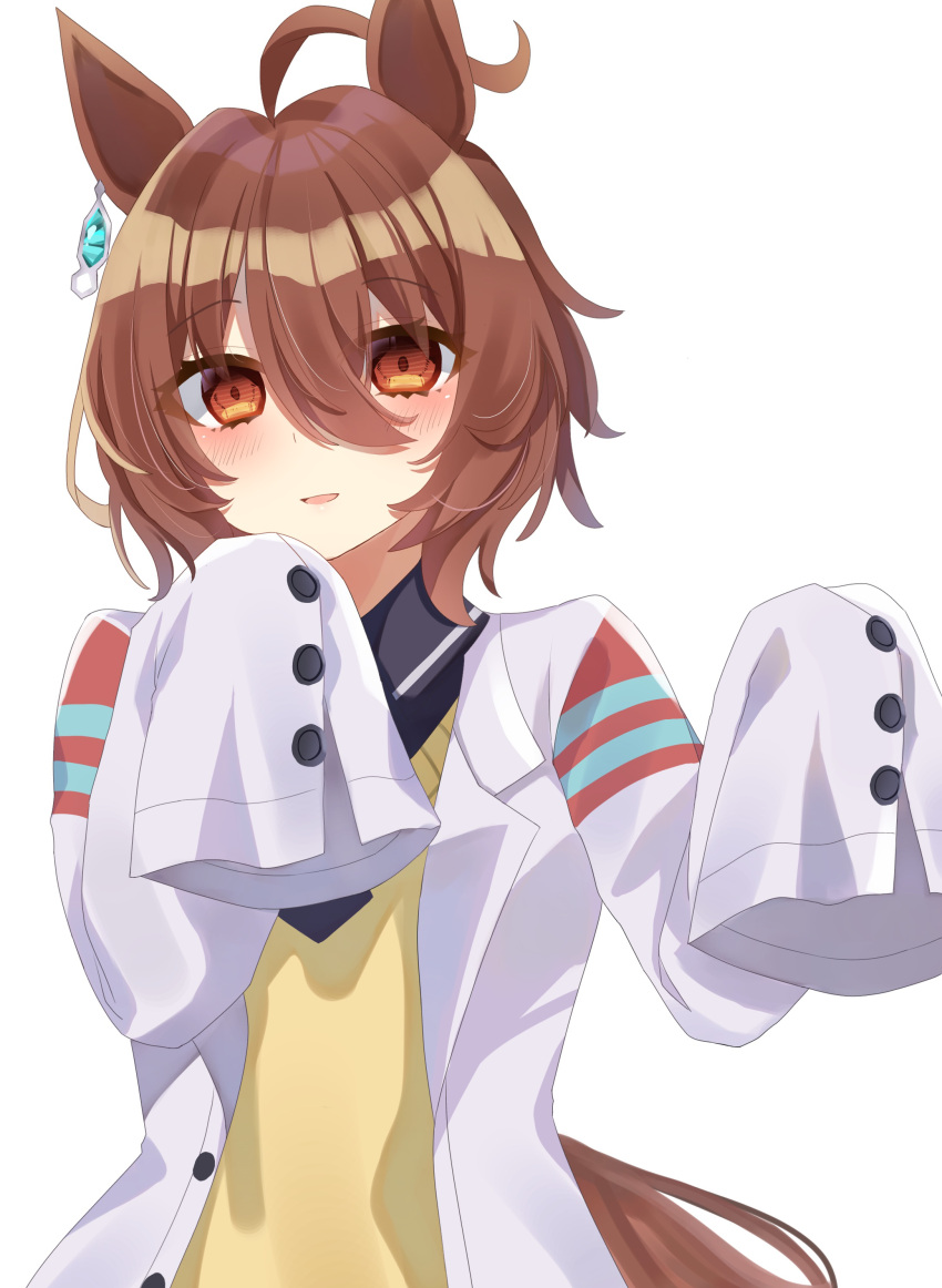 1girl, absurdres, agnes_tachyon_(umamusume), ahoge, animal_ears, blush, brown_hair, chemical_structure