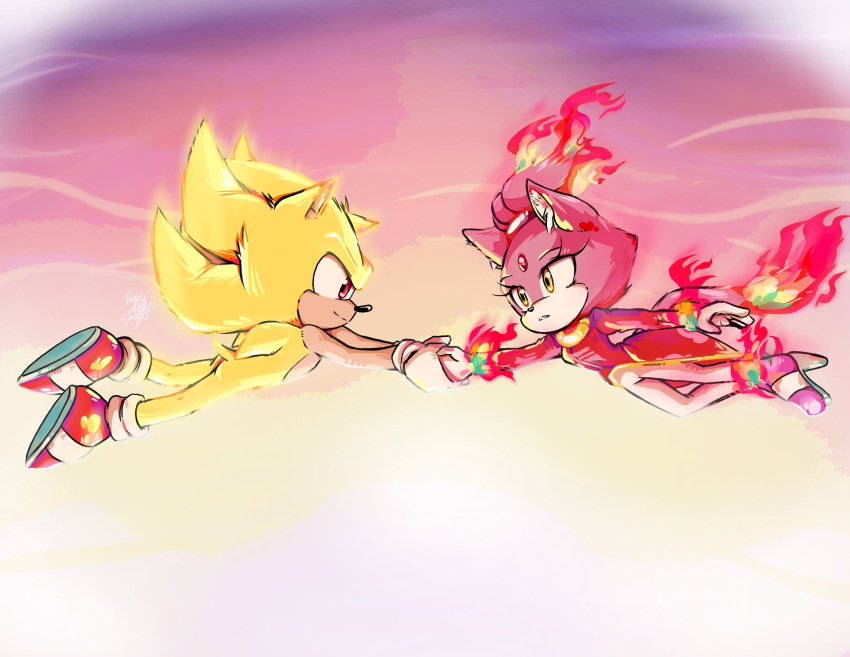 1boy, 1girl, blaze_the_cat, burning_blaze, cat_girl, fire, forehead_jewel, furry, furry_female, gloves, gold_necklace, highres, jacket, jewelry, necklace, pants, pink_footwear, pink_fur, ponytail, red_eyes, red_footwear, red_jacket, rfts10919, sonic_(series), sonic_rush, sonic_the_hedgehog, super_sonic, white_pants, yellow_eyes, yellow_fur