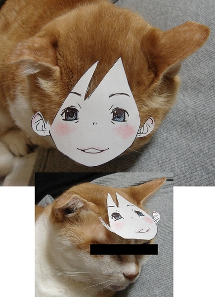 1608_(artist), animal_ears, cat, papercraft, photo
