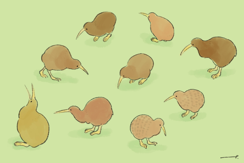 animal_focus, bird, commentary_request, dated_commentary, green_background, kiwi_(bird), no_humans, original