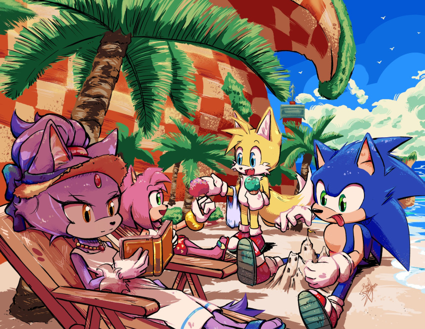 2boys, 2girls, amy_rose, beach, blaze_the_cat, blue_eyes, blue_fur, blue_sky