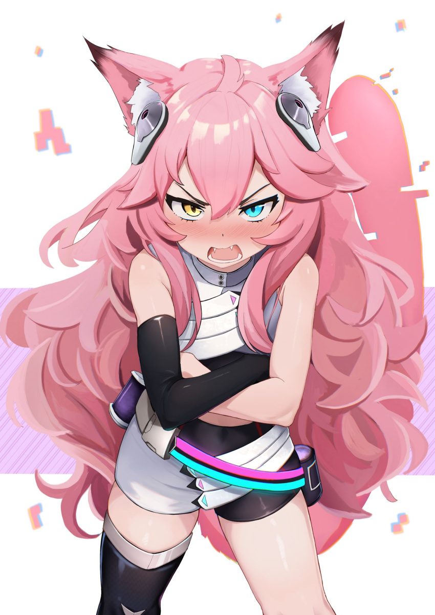 1girl, ai.mi_(omega_strikers), animal_ears, asymmetrical_legwear, bike_shorts, blue_eyes, blush, cat_ears