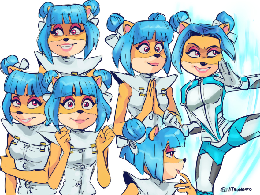 1girl, artist_name, blue_hair, crash_bandicoot_(series), furry, furry_female, looking_at_viewer, medium_hair, megumi_(crash_bandicoot), multiple_views, nitroneato, pink_eyes, shirt, smile, white_shirt