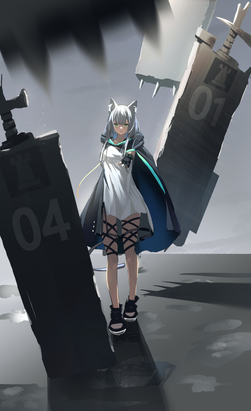 1girl, absurdres, animal_ear_fluff, animal_ears, arknights, black_cloak, black_footwear, black_gloves