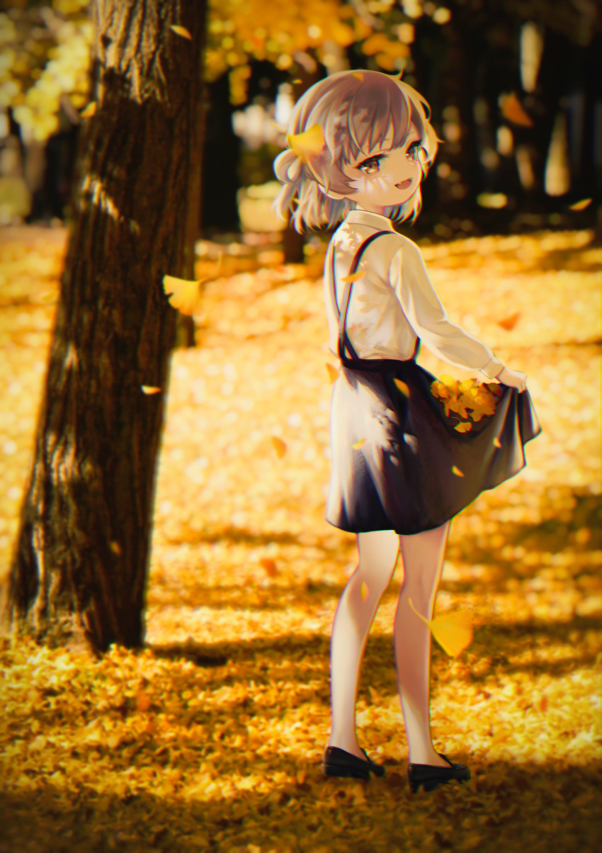 1girl, absurdres, autumn_leaves, blurry, blurry_background, brown_eyes, brown_hair, chromatic_aberration, collared_shirt, colored_inner_hair, commentary_request, criss-cross_suspenders, dappled_sunlight, day, falling_leaves, fangs, floating_hair, from_behind, full_body, ginkgo_leaf, ginkgo_tree, grey_hair, hatoba_tsugu, highres, leaf, loafers, long_sleeves, looking_at_viewer, medium_hair, mikemomonga, multicolored_hair, open_mouth, outdoors, pantyhose, photo_background, shirt, shirt_tucked_in, shoes, single_hair_ring, skirt, skirt_basket, skirt_hold, smile, solo, standing, sunlight, suspender_skirt, suspenders, tsugu_(vtuber), virtual_youtuber, white_pantyhose, white_shirt, yellow_theme