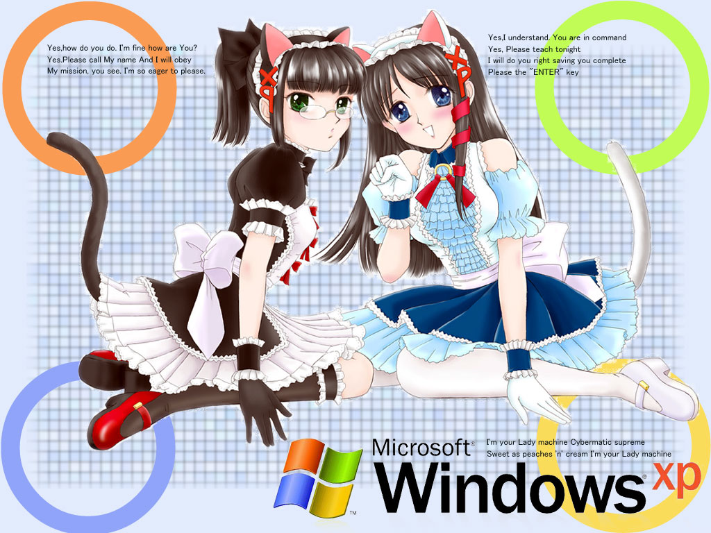 homeko, os-tan, tagme, windows, xp, xp-tan