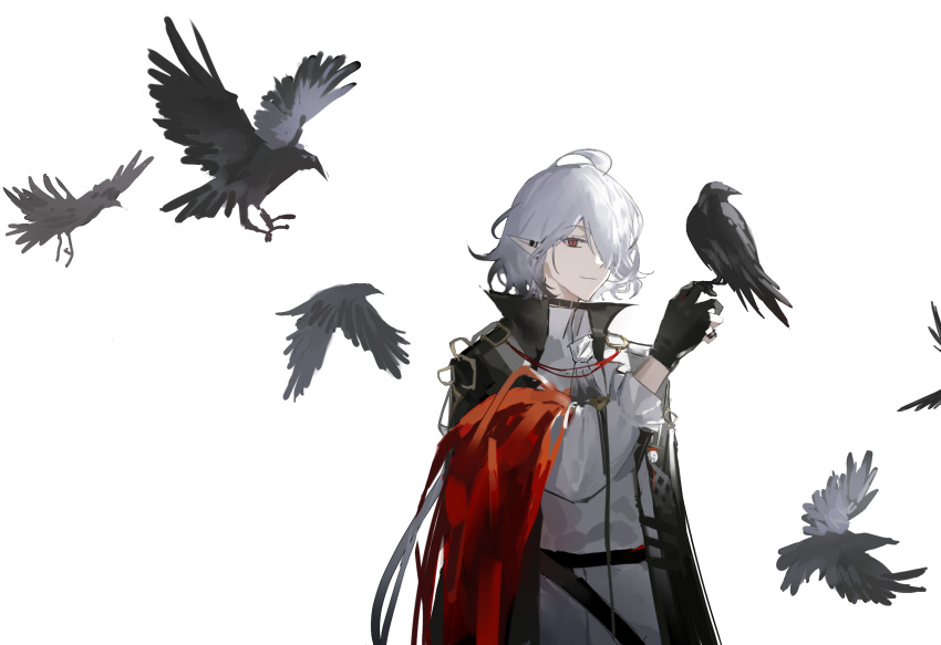1boy, animal, arknights, bird, bird_on_hand, black_cape, black_gloves, cape