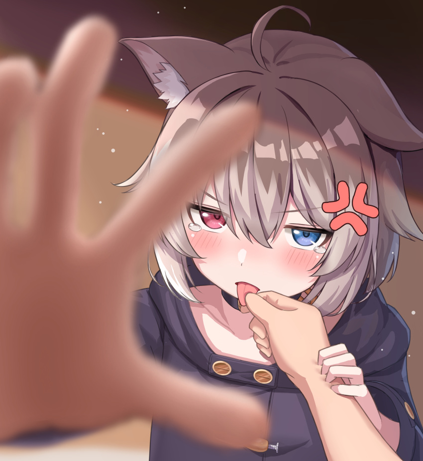 1girl, absurdres, anger_vein, animal_ears, apple_uq, arm_grab, blue_eyes, blurry, brown_hair, collar, depth_of_field, dog_ears, dog_girl, hasuki_rui, heterochromia, highres, hood, hood_down, hooded_coat, indie_virtual_youtuber, light_brown_hair, long_sleeves, looking_at_viewer, medium_hair, multicolored_hair, pov, pov_hands, reaching, reaching_towards_viewer, red_eyes, tears, tongue, tongue_grab, tongue_out, two-tone_hair, virtual_youtuber