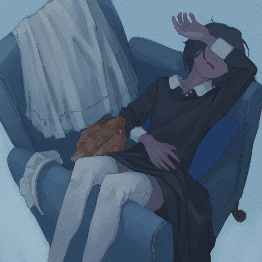 1girl, apron, apron_removed, bird, black_dress, black_hair, chicken, commentary