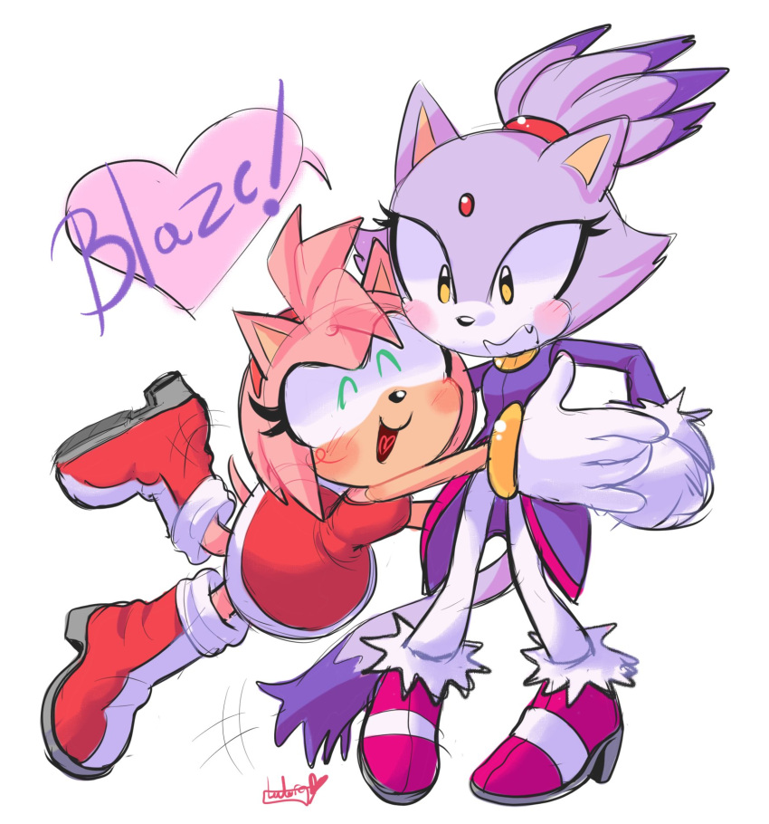 2girls, amy_rose, blaze_the_cat, blush, cat_girl, dress, eyelashes, forehead_jewel