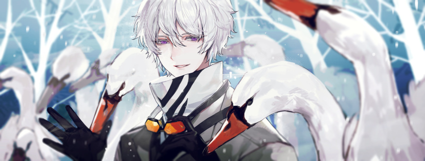 1boy, absurdres, bird, black_gloves, carol0905, cold, gloves, goggles, goggles_around_neck, grin, hair_between_eyes, high_collar, highres, jacket, limbus_company, long_sleeves, looking_at_viewer, male_focus, open_hand, open_mouth, penguin, project_moon, short_hair, sidelocks, smile, solo, sonya_(limbus_company), teeth, upper_body, violet_eyes, waving, white_hair, white_jacket, winter