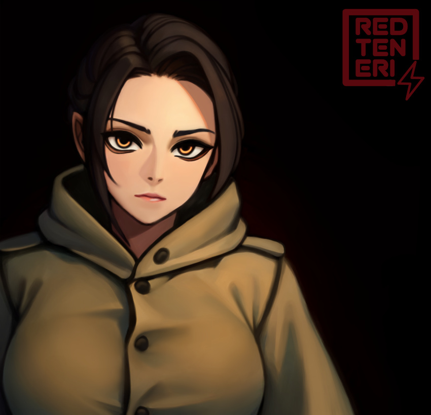 1girl, absurdres, black_background, breasts, brown_eyes, brown_hair, cloak, elf