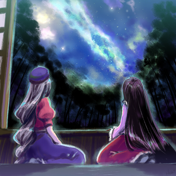 black_hair, braid, from_behind, hat, houraisan_kaguya, long_hair, long_skirt, multiple_girls