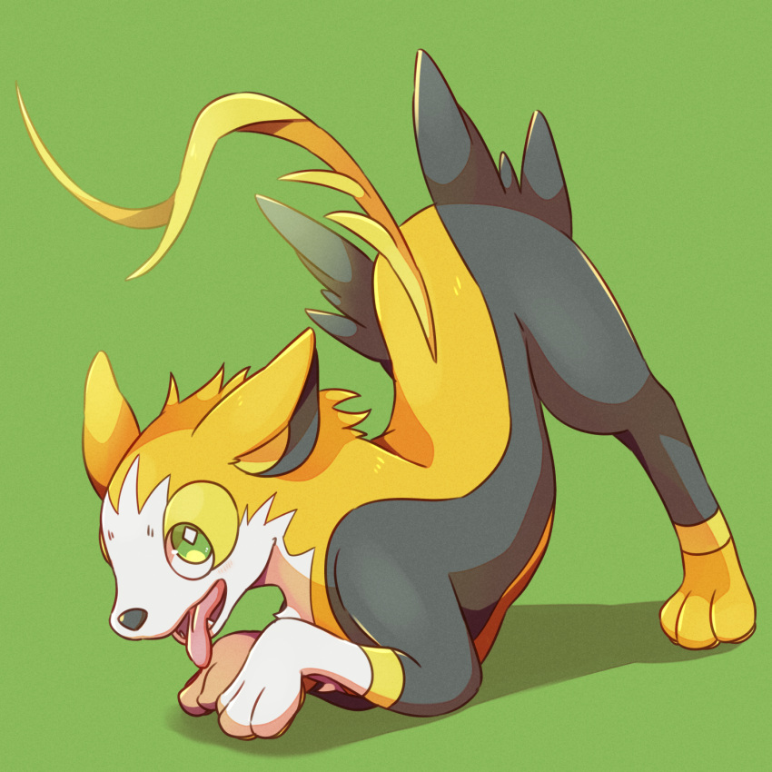animal_focus, arched_back, blush, boltund, bright_pupils, commentary_request, dog, fangs