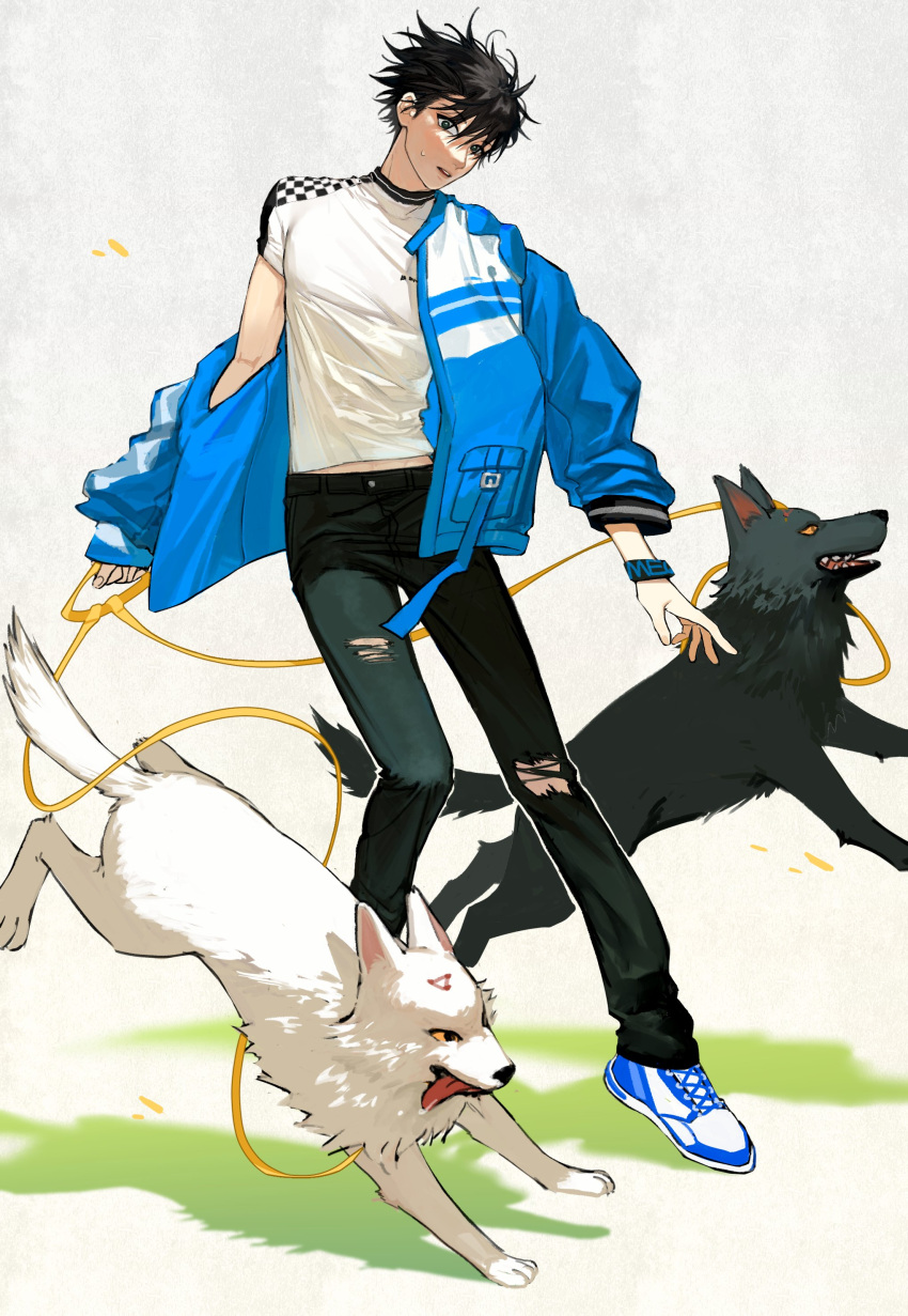 1boy, absurdres, alternate_costume, black_hair, black_pants, blue_jacket, dog, full_body
