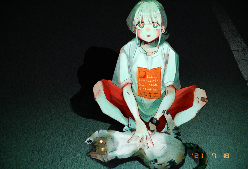 1girl, :o, bandaid, bandaid_on_knee, bandaid_on_leg, blush, calico, cat