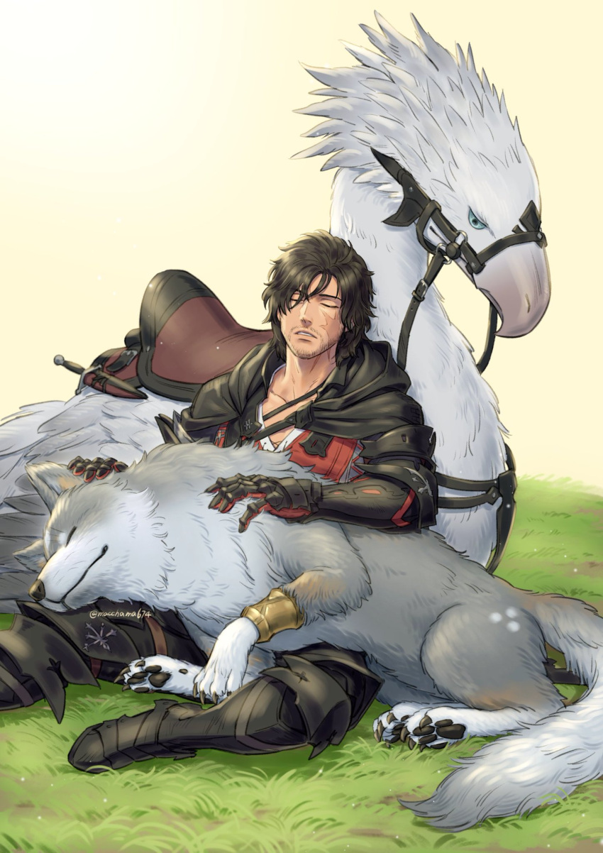 1boy, ambrosia_(ff16), animal, animal_ears, armored_boots, belt, black_hair, boots, chocobo, clive_rosfield, closed_eyes, facial_hair, final_fantasy, final_fantasy_xvi, gauntlets, grey_wolf, highres, macchama674, outdoors, saddle, scar, scar_on_face, simple_background, sitting, sleeping, stubble, torgal_(ff16), wolf