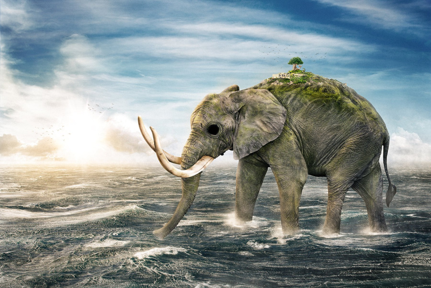 animal, clouds, cloudy_sky, day, elephant, empty_eyes, from_side, full_body, highres, island, male_focus, ocean, on_water, one_piece, outdoors, realistic, sky, solo, standing, sunset, thanawat_thepphongsri, tree, tusks, walking, water, zunesha