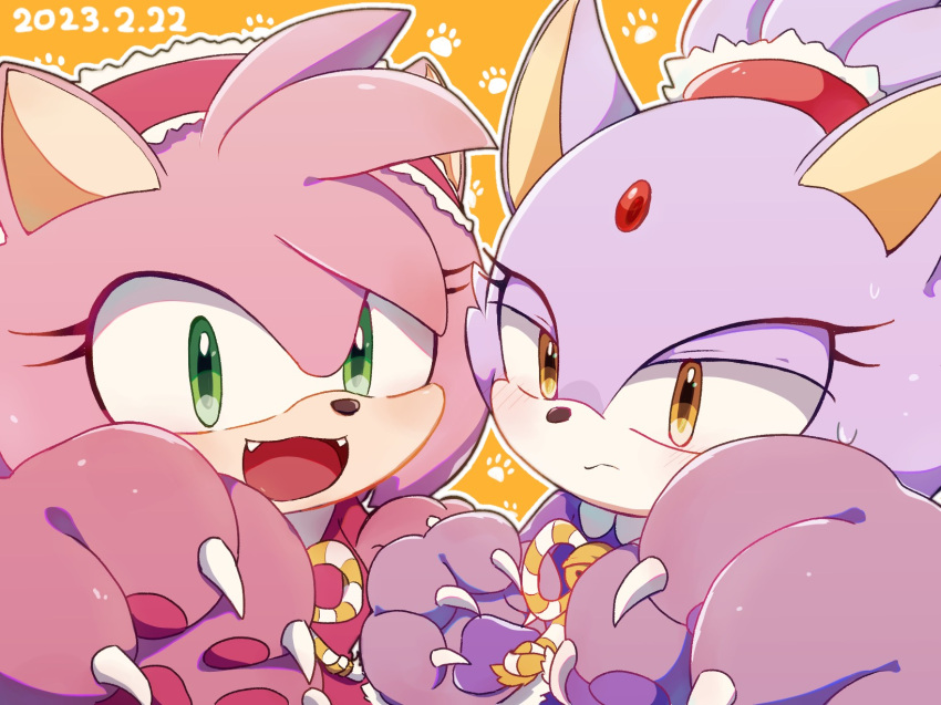 2girls, amy_rose, animal_ears, blaze_the_cat, blush, cat_day, cat_ears, cat_paw