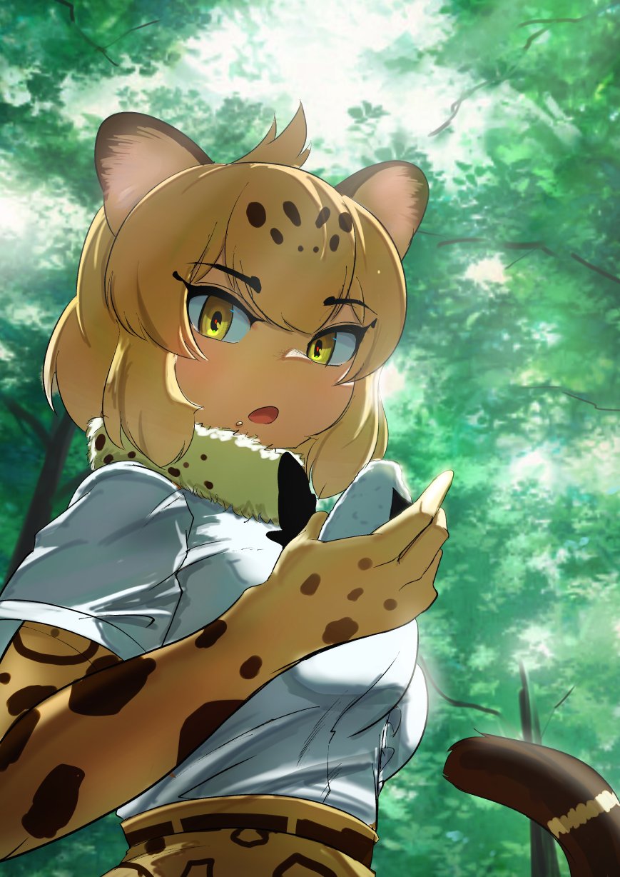 1girl, animal_ears, blonde_hair, crumbs, elbow_gloves, food, forest, from_below, fuji_takanasu, fur_collar, gloves, hair_between_eyes, high-waist_skirt, highres, jaguar_(kemono_friends), jaguar_ears, jaguar_girl, jaguar_print, jaguar_tail, kemono_friends, looking_at_viewer, multicolored_hair, nature, onigiri, print_gloves, print_skirt, shirt, short_hair, short_sleeves, sidelocks, skirt, solo, t-shirt, tail, tree, white_fur, white_shirt, yellow_eyes