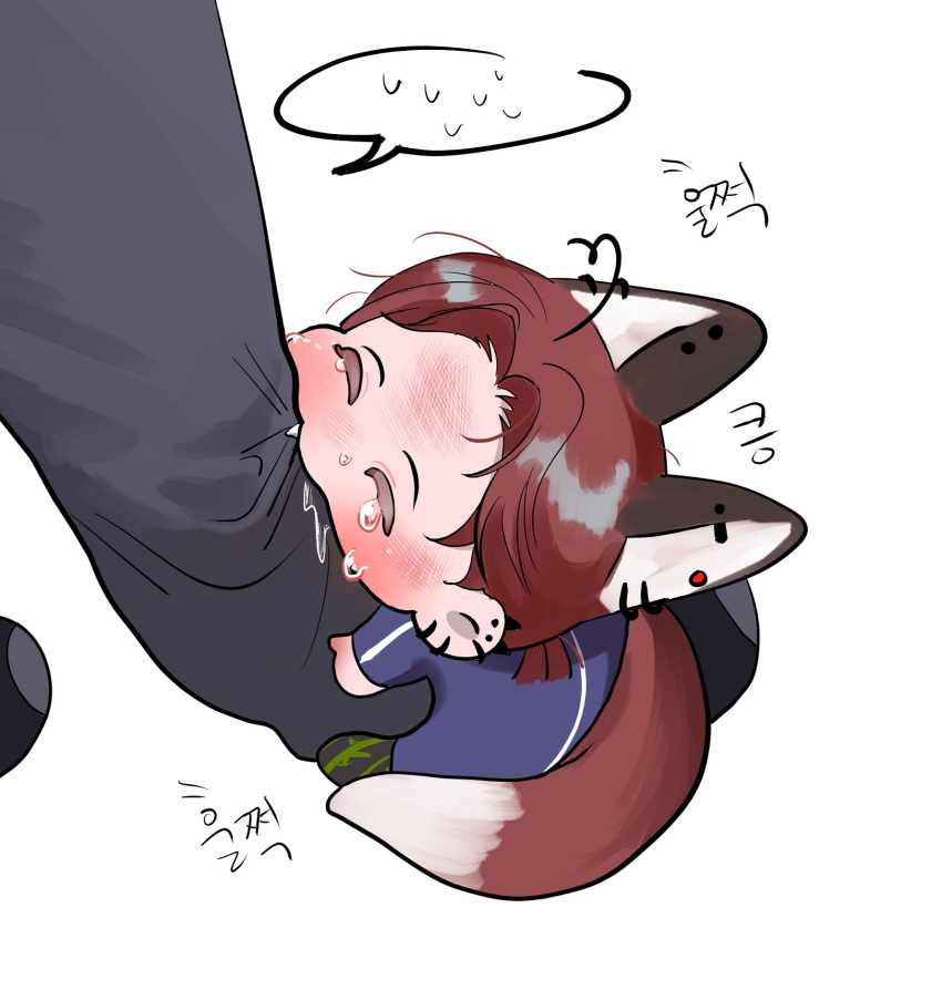 2boys, aged_down, animal_ears, biting, blush, child, closed_eyes, commentary_request, earrings, eoduun_badaui_deungbul-i_doeeo, fang, fox_boy, fox_ears, fox_tail, highres, hugging_another's_leg, jewelry, kemonomimi_mode, kim_jaehee, korean_commentary, korean_text, leg_bite, male_child, male_focus, multiple_boys, park_moo-hyun, redhead, sea_0328, short_hair, simple_background, spoken_sweat, tail, tears, white_background