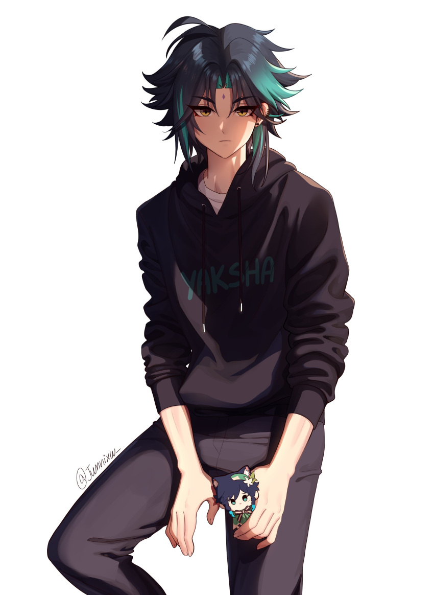 1boy, absurdres, alternate_costume, annidrw, black_hair, black_hoodie, black_pants, character_doll