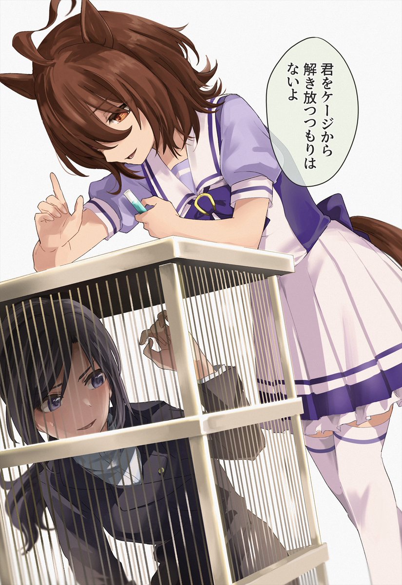 2girls, agnes_tachyon_(umamusume), animal_ears, black_hair, brown_eyes, brown_hair, cage, dutch_angle
