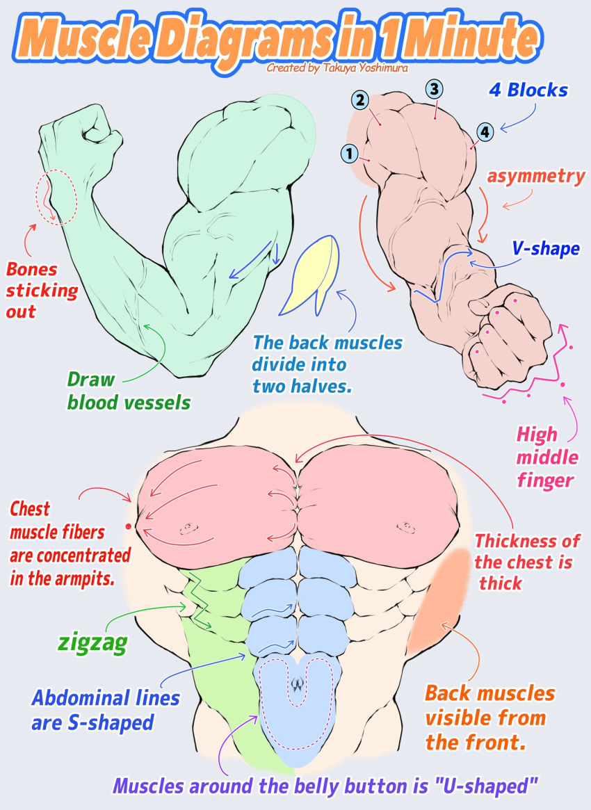 1boy, abs, anatomy, arrow_(symbol), biceps, cropped_torso, disembodied_limb, english_text, flexing, groin, guide, highres, how_to, large_pectorals, male_focus, multiple_views, muscular, muscular_male, nipples, obliques, original, pectorals, v-taper, veins, veiny_arms, yoshimura_takuya
