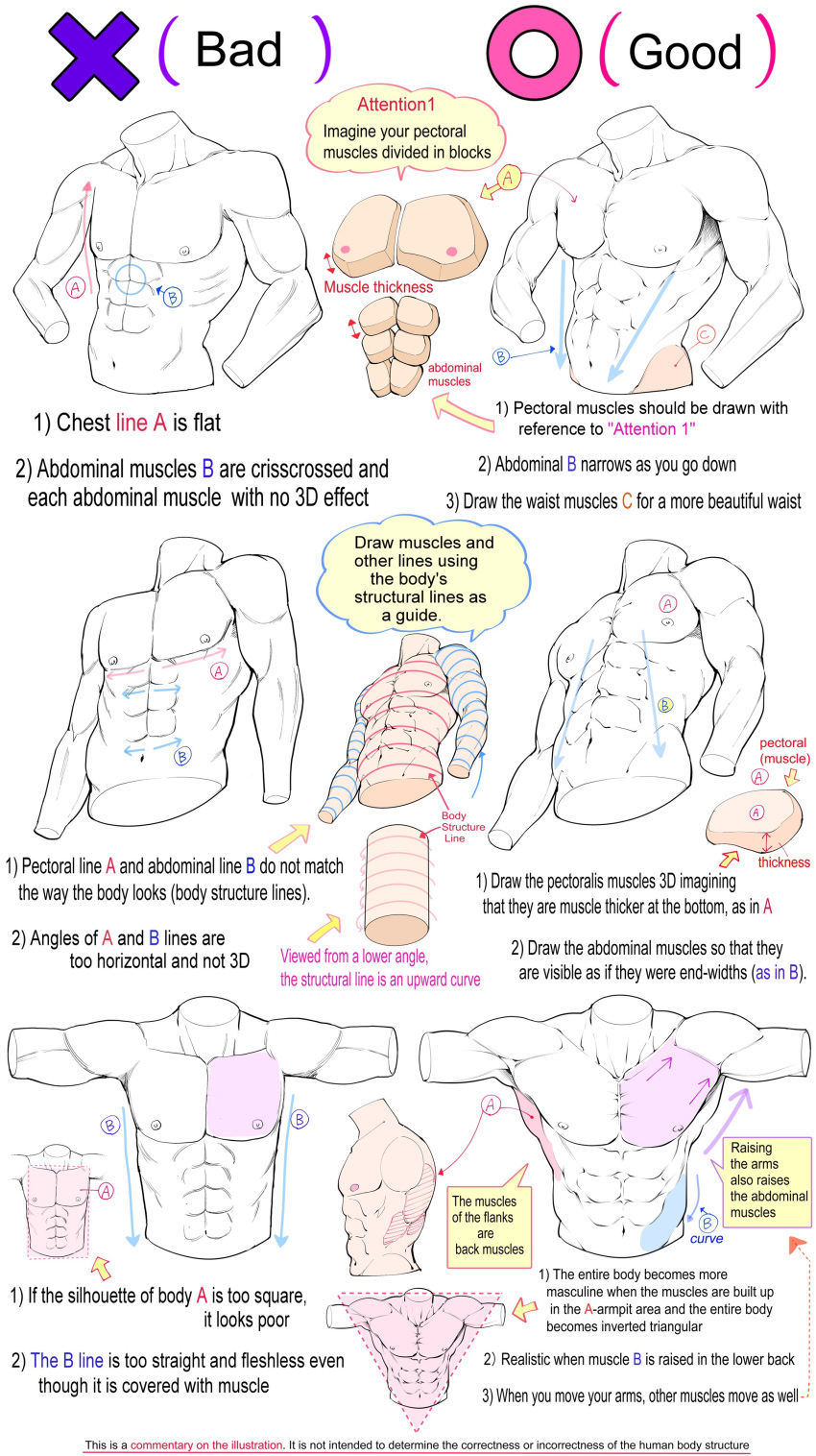 1boy, abs, absurdres, anatomy, arms_at_sides, arrow_(symbol), cropped_torso, english_text
