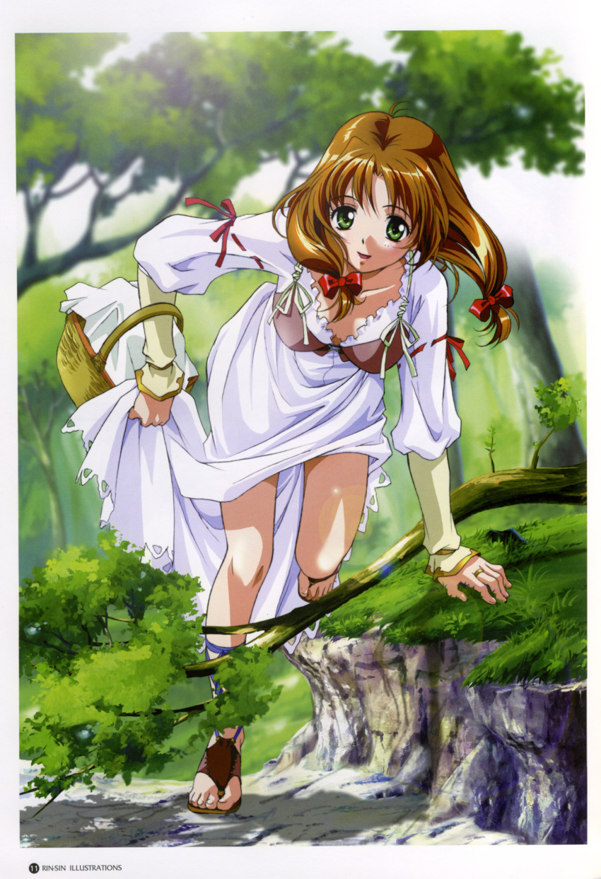 artbook, basket, bra, brown_hair, down_blouse, dress, forest, green_eyes