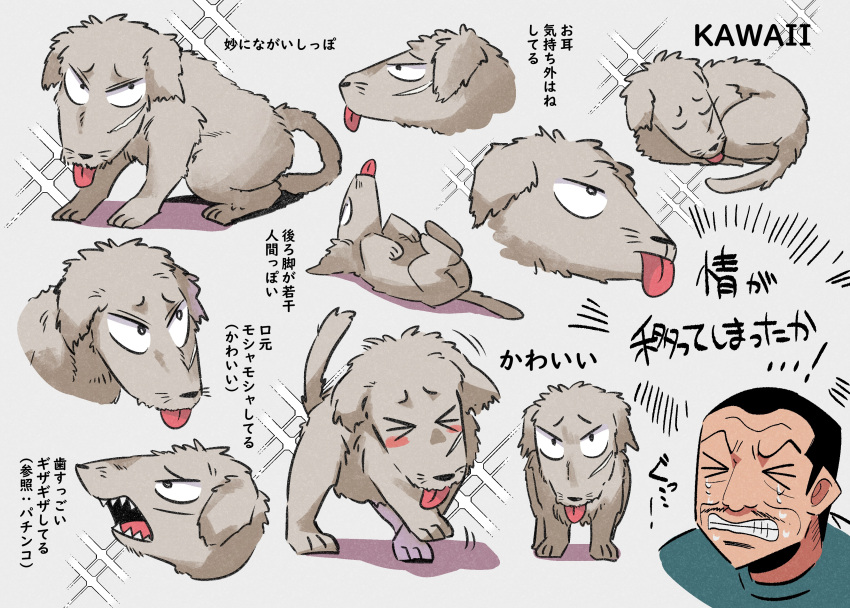>_<, 1boy, absurdres, animal_focus, black_hair, buzz_cut, clenched_teeth, commentary_request