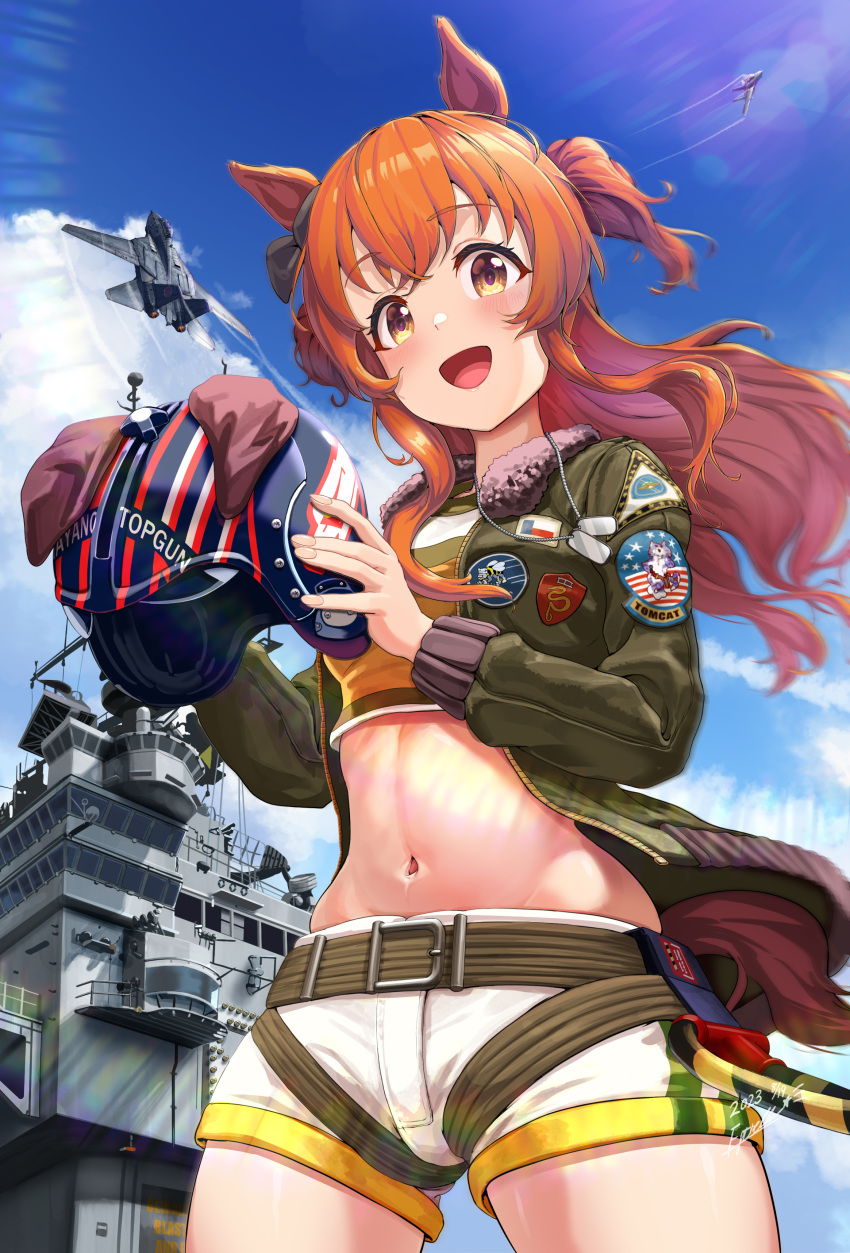 1girl, absurdres, aircraft, airplane, animal_ears, blue_sky, clouds, cloudy_sky