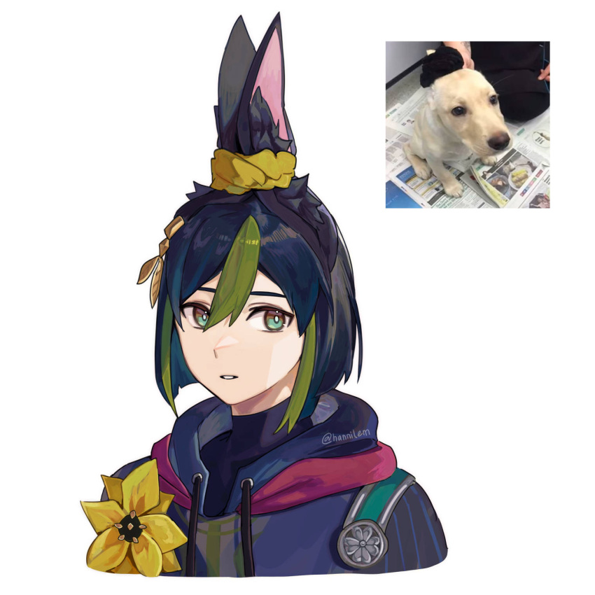 1boy, animal_ear_fluff, animal_ears, black_hair, commentary, dog, flower, fox