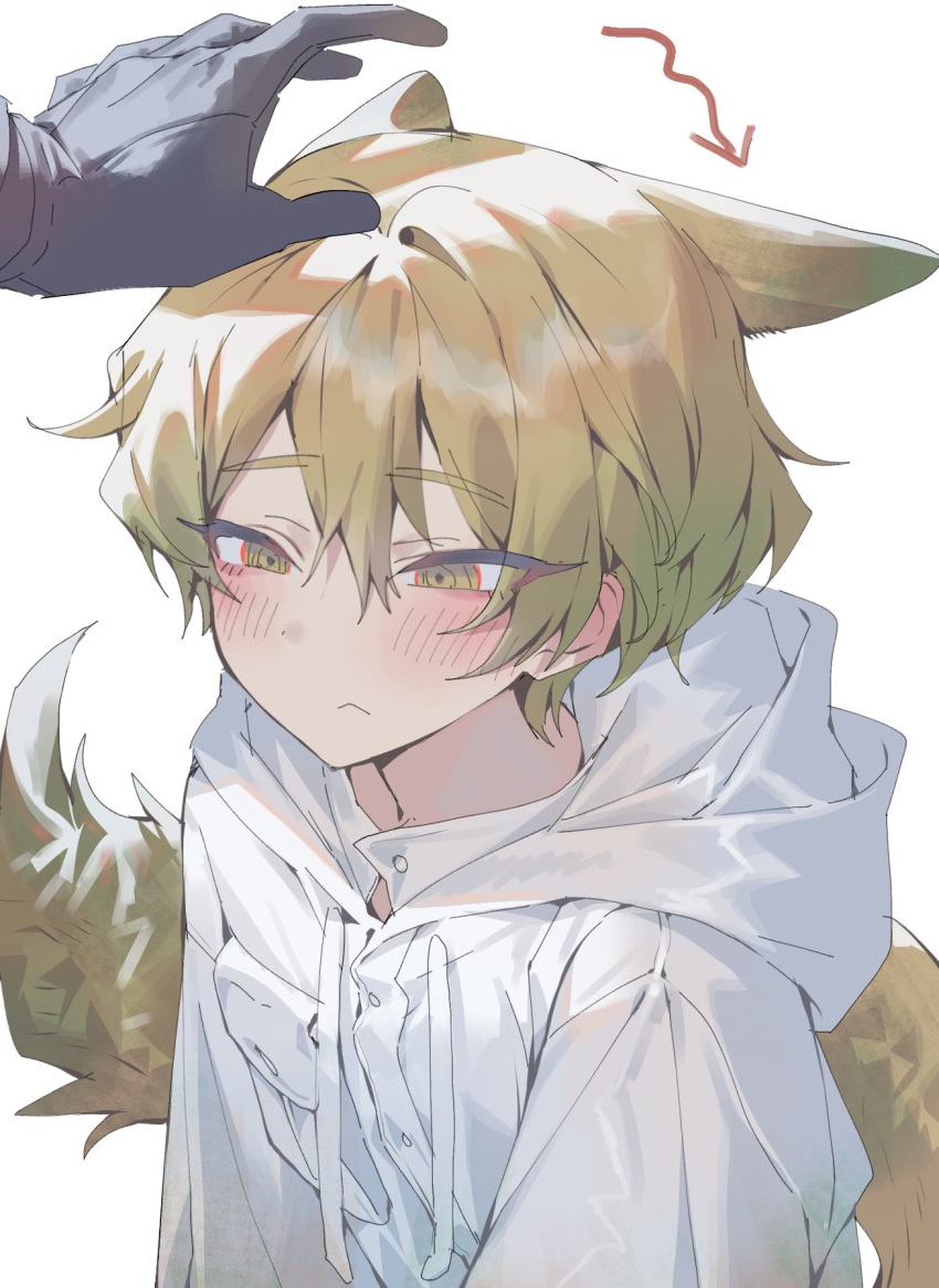 1boy, 1other, animal_ears, black_gloves, blonde_hair, blush, closed_mouth, coat, dante_(limbus_company), devy_lobotomy, e.g.o_(project_moon), fox_boy, fox_ears, fox_tail, gloves, highres, hood, hood_down, hooded_coat, limbus_company, long_sleeves, out_of_frame, pocket, project_moon, simple_background, sinclair_(limbus_company), tail, white_background, white_coat, white_raincoat, yellow_eyes