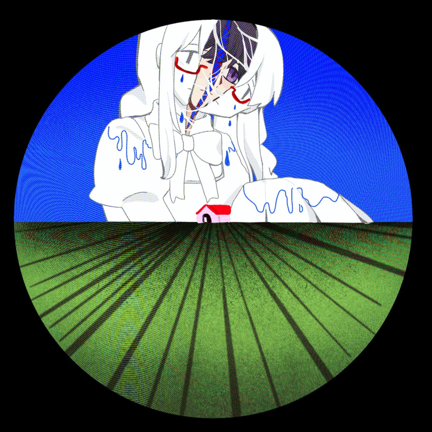1girl, akemi_homura, autorefractor_test, barn, black_border, black_hair, blue_sky, border